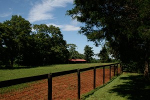 Fencing